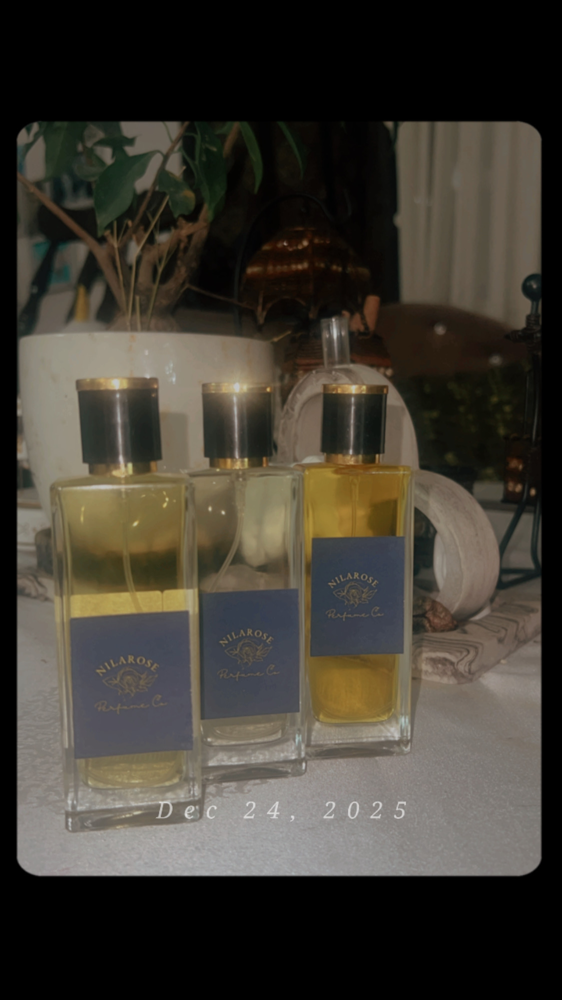 خرید عطر شنل پلاتینیوم اگوئیست گرید تاپ | نیلارز پرفیوم